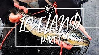 Iceland pt.1 of 2 | Trophy Brown Trout on Streamers | West Ranga River