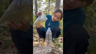 Survival Skills- easy methood saving water transfer to bottle #camping #bushcraft#water #smart