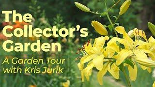 ️ The Lily Collector's Garden | A Garden Tour with Kris Jurik ️