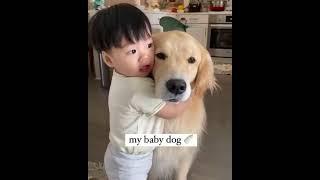 Cutest dogs video compilation  ever ️