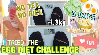 EGG DIET CHALLENGE / BUDGET FRIENDLY || LEYLA DPENA