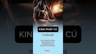 Kinh Pháp Cú - Phẩm Ngu - Lời dạy 60 #phatphap #phatphapnhiemmau #ngotuhau #kinhphapcu