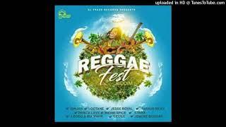 REGGAE FEST RIDDIM MIXTAPE BY DEEJAY WASHY MIXMASTER