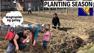 WHAT WE PLANTED IN OUR GARDEN HERE IN BOSNIA | GETTING READY FOR PLANTING SEASON 2019