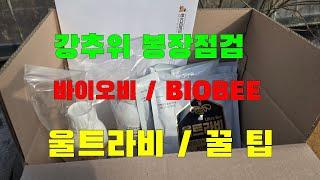 강추위속에 봉장점검  바이오비/BIOBEE 꿀샘,울트라비 [일부광고포함]