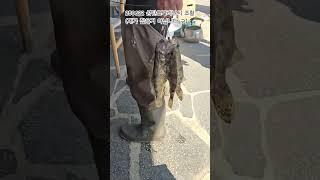 250622 삼탄쏘가리낚시 조황 (제가 잡은거 없습니다 ㅋ)