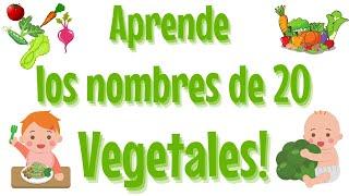 Aprende los NOMBRES de 20 VEGETALES 