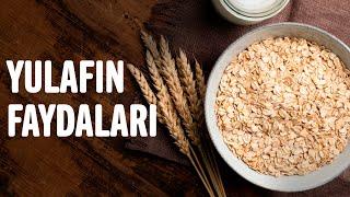 Yulafın Faydaları | Faydalı Şeyler | Sağlıklı Yaşam Sırları