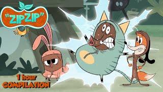 Zip Zip *1hour* Season 2 - COMPILATION HD [Official] Cartoon for kids