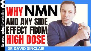 Why NMN & Any side effects from HIGH DOSE | Dr David Sinclair Interview Clips