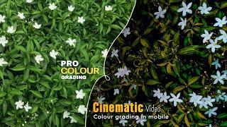 Cinematic Video PRO Colour Grading Tutorial | Video Colour Grinding | in mobile