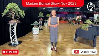 Day 1 of Madam Bonsai Show November 2023