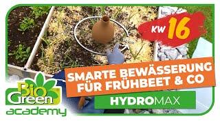 Automatische Bewässerung für Dein Hochbeet - Der Hydro Max erspart Dir das Gießen.