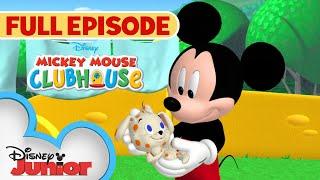 Pluto's Puppy-Sitting Adventure | S1 E14 | Full Episode | Mickey Mouse Clubhouse | @disneyjunior  ​