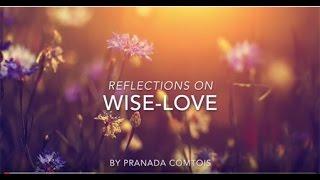 Reflections on Wise-Love Book trailer.  Wise-Love is on Amazon