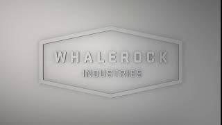 Bald Fade Productions/Augenblick Studios/Whalerock Industries/Williams Street (2017)