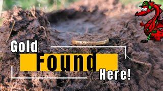 No Luck for Me… But He Found a GOLDEN Surprise! Silver Boy Metal Detecting UK 2025