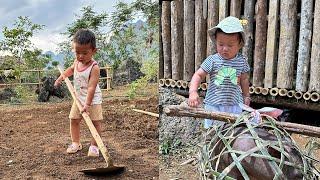 Single mother and son build a pig farm and grow vegetables together, build a new life