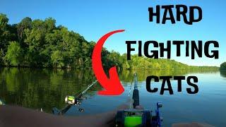 CATFISHING The RIVER In My TINY BOAT! Will FROZEN SHAD Work In The LATE SPRING?