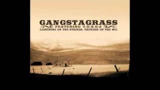 Gangstagrass- I'm Gonna Put You Down