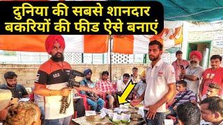 बकरी मोटा तगड़ा करने वाली फीड |Goat Feed Formula by Sr Commercial Goat Farm Sirsa Haryana