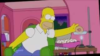 Homer Simpson Donut Junkie