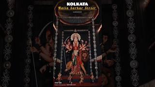 Nalin Sarkar Street ।  Durga Puja 2024 #durgapuja #kalyani #kolkata #trending #shorts #youtubeshorts