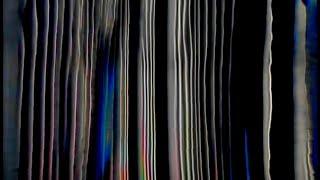 Pushkar Brand - "Millennial Carpet Pilgrims" (feedback glitch videoclip)