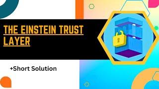 The Einstein Trust Layer || Solution
