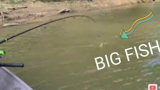 State Award Big Fish