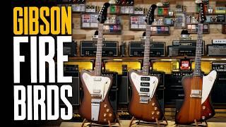 Let’s Talk About Gibson Firebirds… With Dave Gregory!