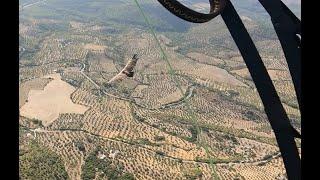 Die Geier von Algodonales - paragliding with vultures