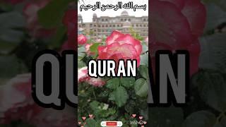 Surah Al-Fil | By Sheikh Abdur-Rahman As-Sudais | Full With Arabic #sudais #short