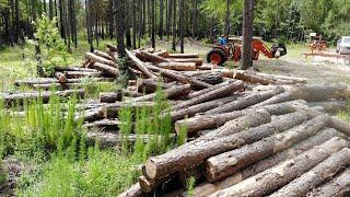 This Log Pile Was MASSIVE!