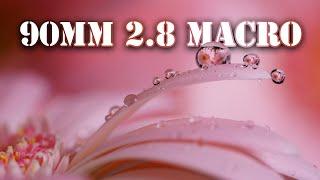 Reviewing Sony 90mm f2.8 Macro | Macro War Part 1