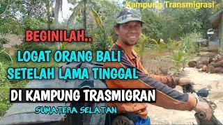 Beginilah Logat Orang Bali Setelah Lama Tinggal Di Kampung Transmigrasi || Sumatera Selatan