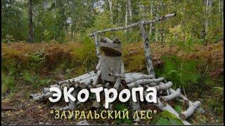 Экотропа "Зауральский лес"