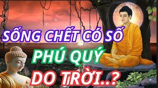 Sống Chết Có Số, Phú Quý Do Trời - Hay Do Con Người Lựa Chọn | CUỘC SỐNG SUY NGẪM