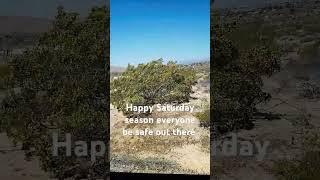 daily blog channel happy Saturday everyone out there be safe #happyblog