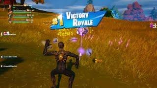 Fortnite squad win