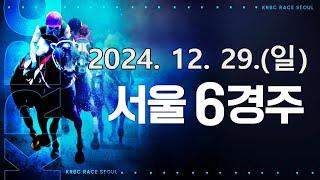 (서울) 2024.12.29 6경주