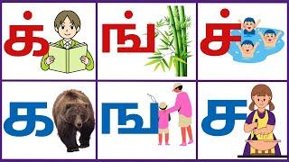 மெய் எழுத்துக்கள் || க் ங் ச் ஞ் ட் ண் த் || உயிர்மெய் எழுத்துக்கள் || க ங ச ஞ ட ண த ந ப ம ய ர ல