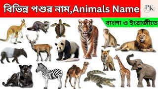 Animals Name/পশুর নাম/Learn Animals Name in English and Bengali/Wild Animals Names/Animal Vocabulary