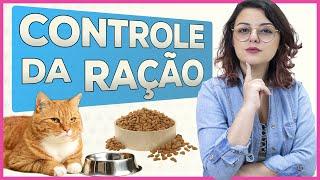 Como Controlar a Quantidade de Ração | Dica de Gateira