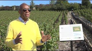 Jon Haggins the GlobeTrotter in Champagne and Bordeaux, France