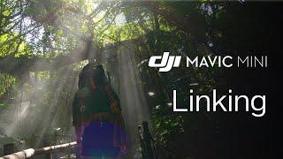 Mavic Mini | How To Link The Remote Controller