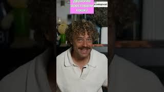 обезьяны арестовали кошку #варламов #кошки #тайланд