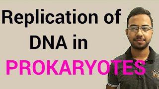 DNA replication in Prokaryotes | initiation elongation and termination | plasmid replication