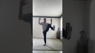 Taijiquan Heel Kick #internalmartialarts #martialarts #taijiquan