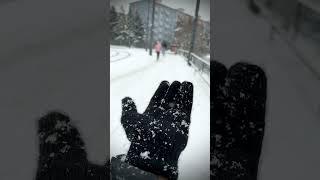 Shape of snow!… you could see the shape of snow flakes  #snow #prague #winter #europe #shape